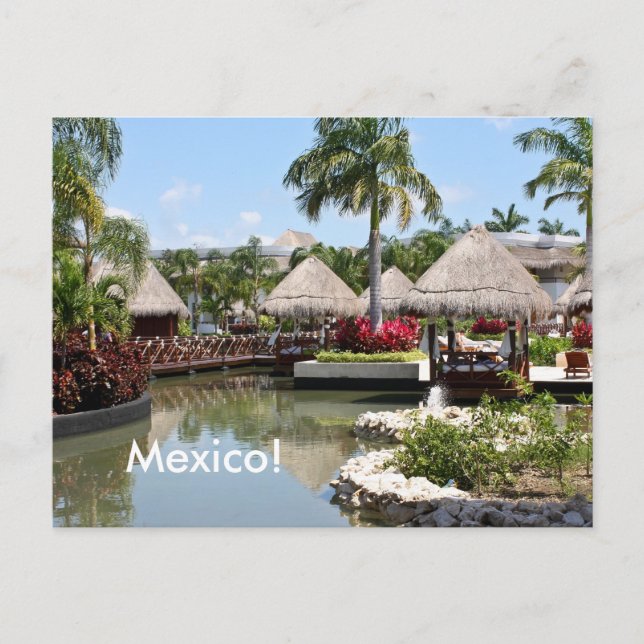Riviera Maya, Mexico Postcard (Front)