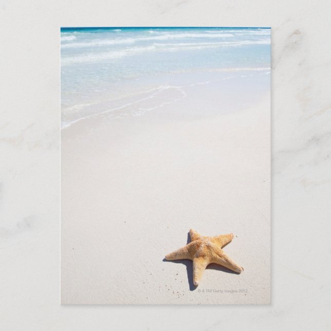 Riviera Maya Postcard (Front)