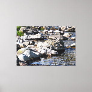 Rivière de montagne des Carpates - Impression de l
