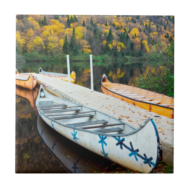 Rivière Jacques-Cartier | Rabaskas Dock Tile (Front)