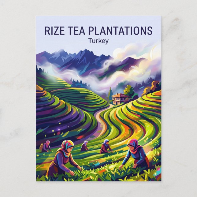 Rize Tea Plantations Turkey Postcard (Front)