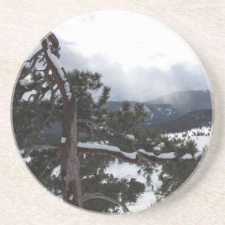 RMNP 1 COASTER