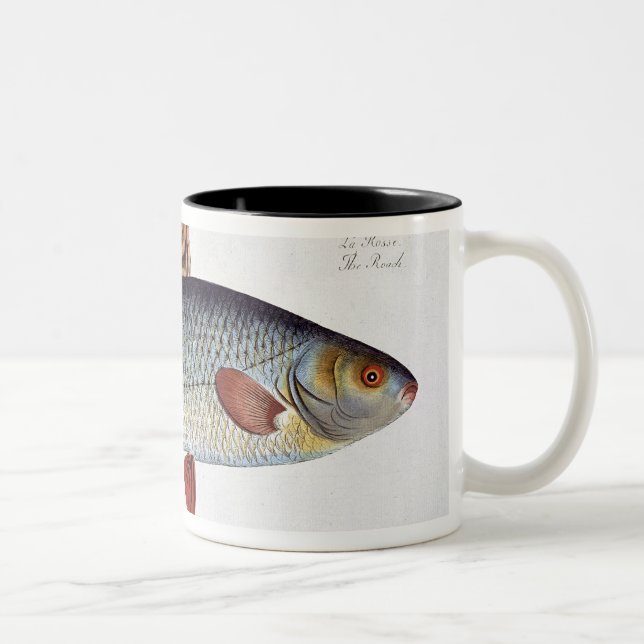 Roach (Cyprinus Rutilis) plate II from 'Ichthyolog Two-Tone Coffee Mug (Right)