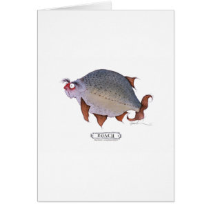 Roach fish, tony fernandes