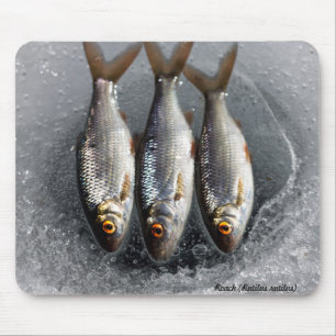Roach Mouse Pad