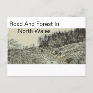Road And Forest In North Wales Postcard