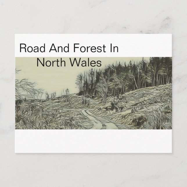 Road And Forest In North Wales Postcard (Front)