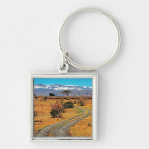 Road And Snow-Capped Cathedral Range, Champagne Keychain