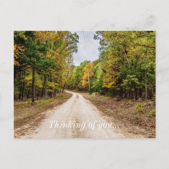 Road At Seasons Change Thinking Of You Postcard (Front)