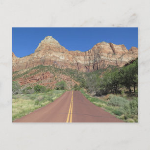 Road at Zion National Park USA Postcard