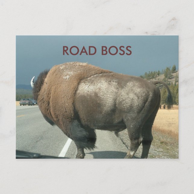 ROAD BOSS postcard (Front)