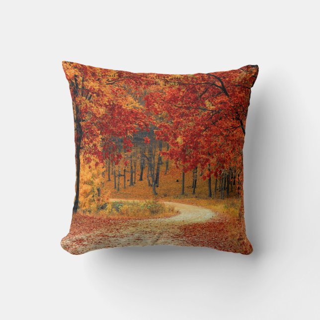 Road Forest Fall Path Throw Pillow (Front)