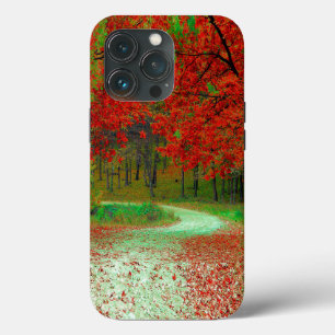 ROAD FOREST TREES BOTANICAL NATURE LANDSCAPE iPhone 13 PRO CASE