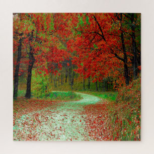 ROAD FOREST TREES BOTANICAL NATURE LANDSCAPE JIGSAW PUZZLE
