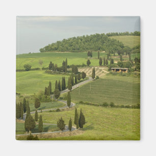 Road from Pienza to Montepulciano, Magnet