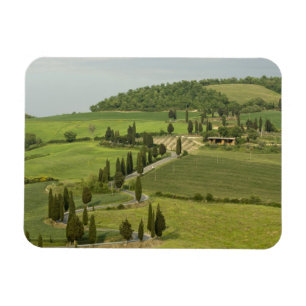 Road from Pienza to Montepulciano, Magnet