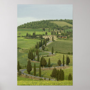 Road from Pienza to Montepulciano, Poster
