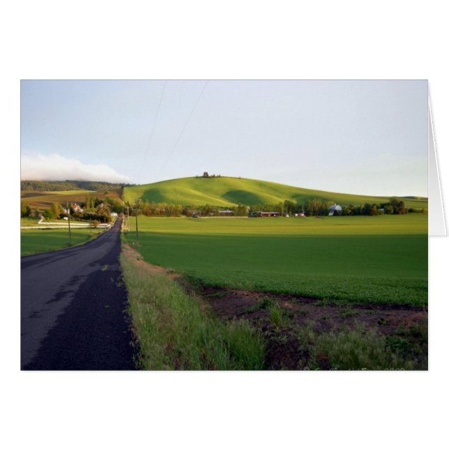 Road home (Front Horizontal)