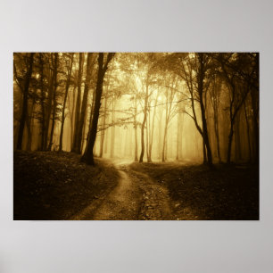 Road in a dark forest with fog poster