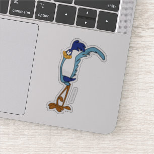 ROAD RUNNER™ Colour