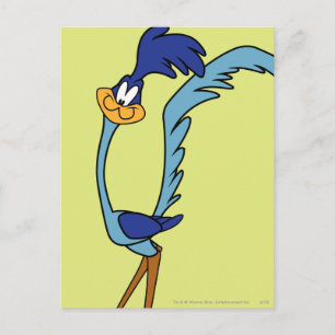ROAD RUNNER™ Colour Postcard
