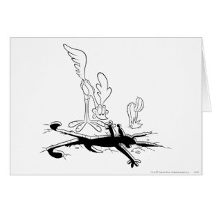 ROAD RUNNER™ et WILE E. COYOTE™ Trou en forme