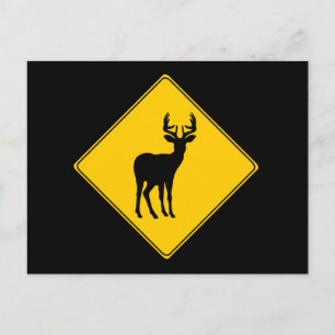 Road Sign- Deer Postcard