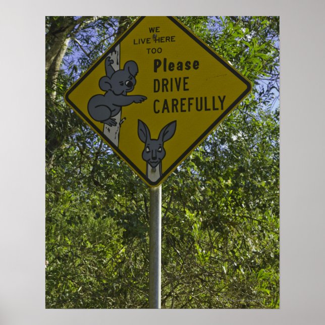 Road sing warning motorists about danger of wild poster (Front)