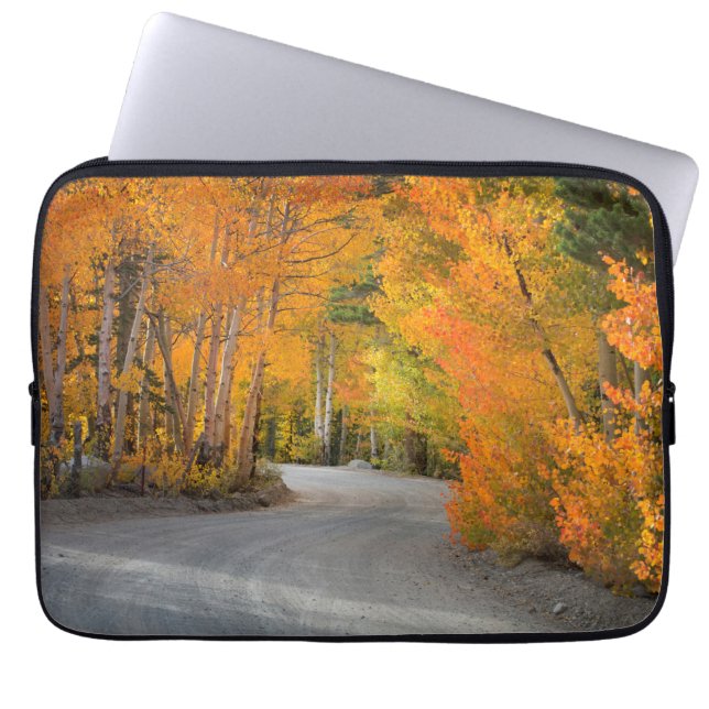 Road Through Autumn Aspens Laptop Sleeve (Front)