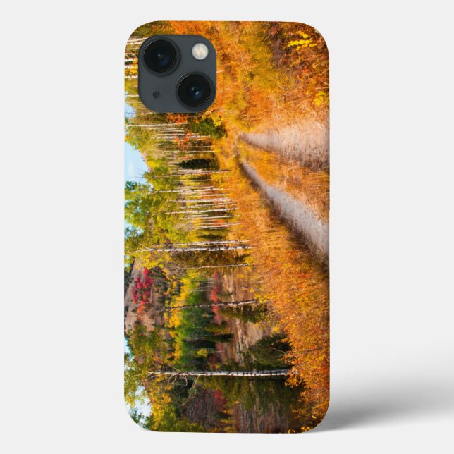 Road Through Autumn Colors Case-Mate iPhone Case (Back)