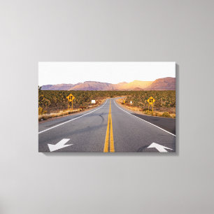 Road Through Joshua Tree National Park Canvas Print