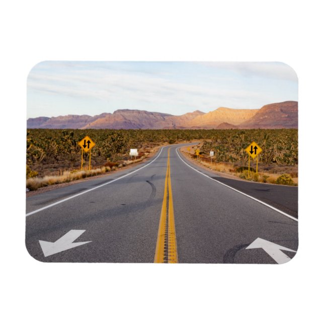 Road Through Joshua Tree National Park Magnet (Horizontal)