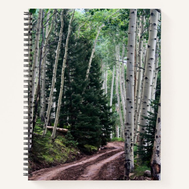Road Through The Birch Notebook (Front)