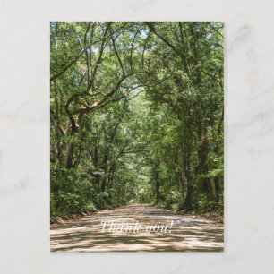 Road To Angel Oak Thank You Postcard