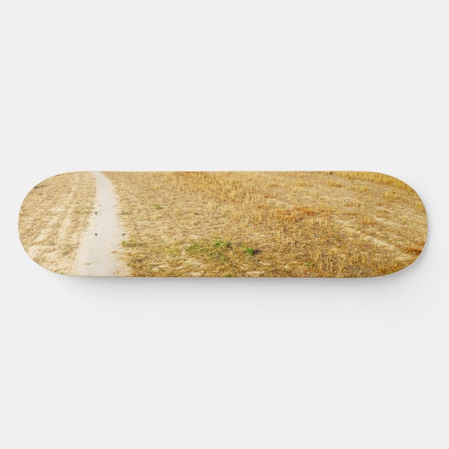 Road to Sansol Skateboard (Horz)