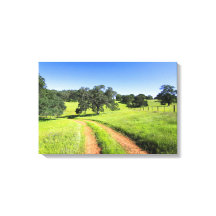 Road to Spring, wrapped canvas