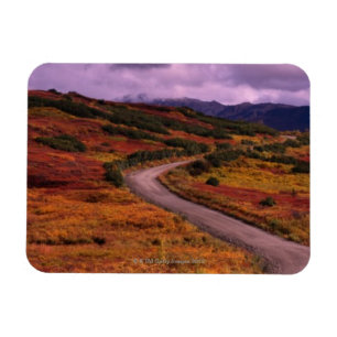 Road Winding Through Hills in Denali National Magnet