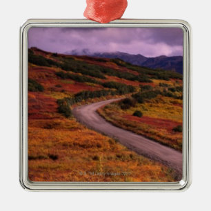 Road Winding Through Hills in Denali National Metal Ornament
