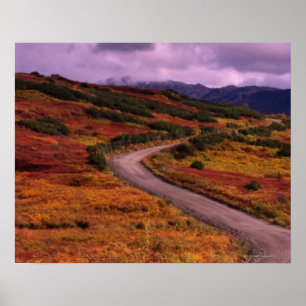 Road Winding Through Hills in Denali National Poster