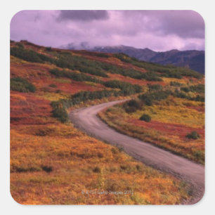 Road Winding Through Hills in Denali National Square Sticker