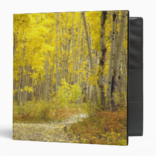 Road with autumn colours and aspens in Kebler 2 Binder