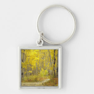 Road with autumn colours and aspens in Kebler 2 Keychain