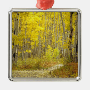 Road with autumn colours and aspens in Kebler 2 Metal Ornament