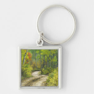 Road with autumn colours and aspens in Kebler Keychain
