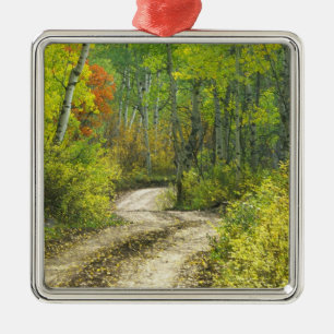 Road with autumn colours and aspens in Kebler Metal Ornament