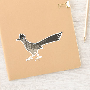 Roadrunner Bird Coloured Pencil Art