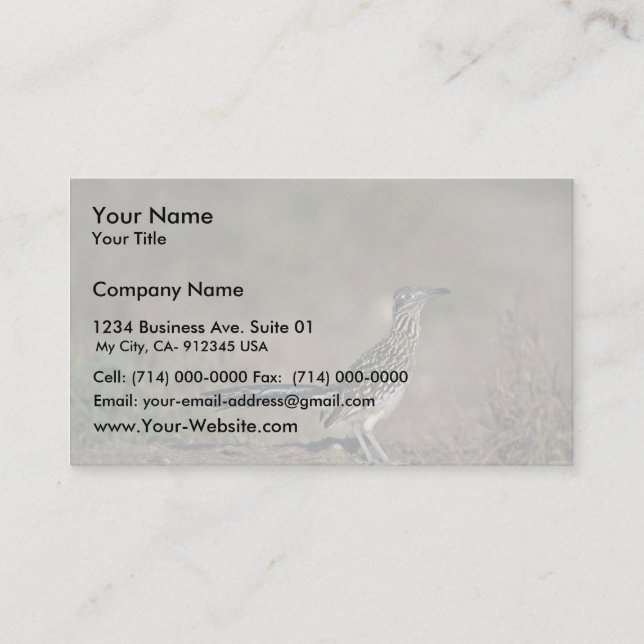 Roadrunner Business Card (Front)
