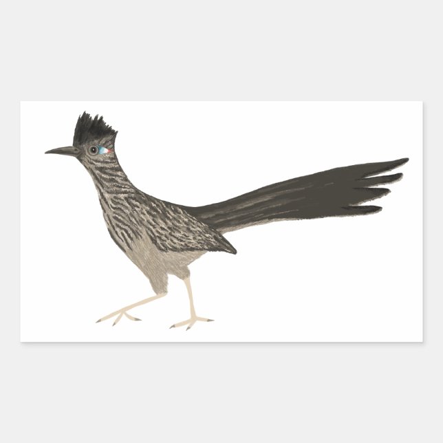 Roadrunner coloured pencil drawing sticker (Front)