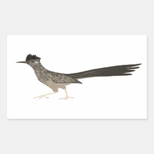 Roadrunner coloured pencil drawing sticker