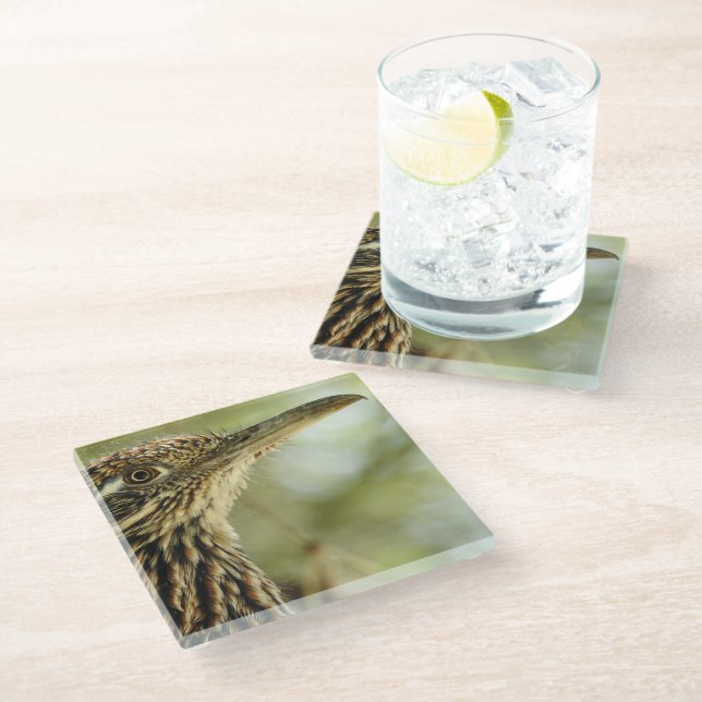 Roadrunner Glass Coaster (Angled)